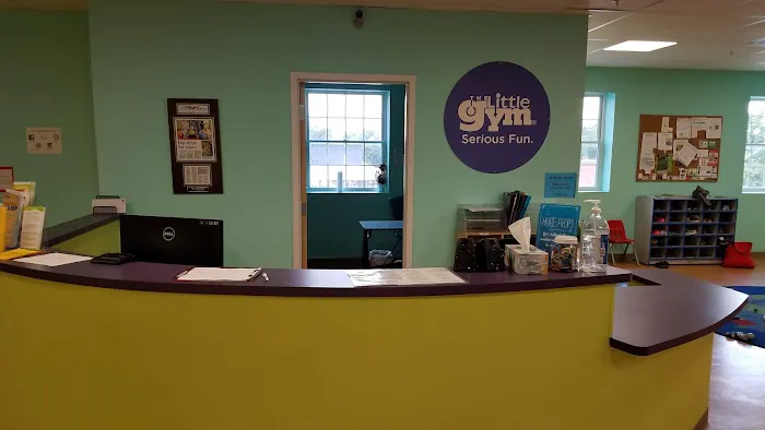 The Little Gym Picture 6