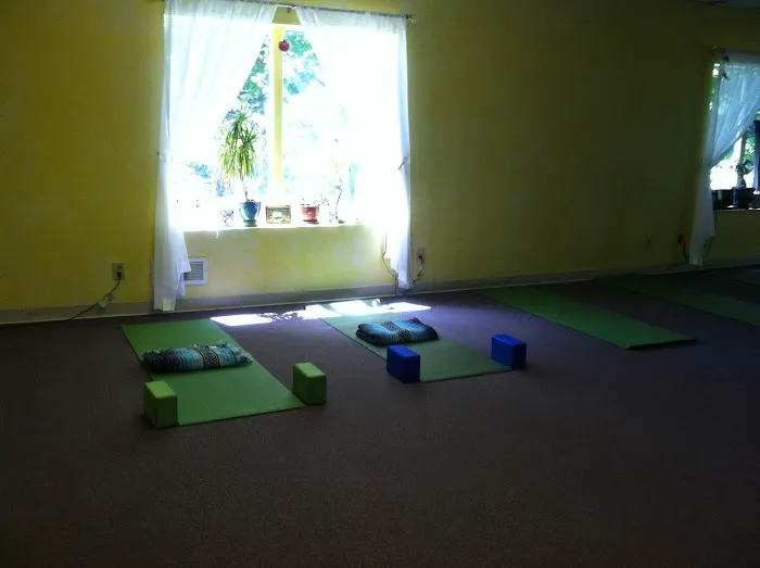 The Yoga Lily Online Studio & Training Center Picture 1