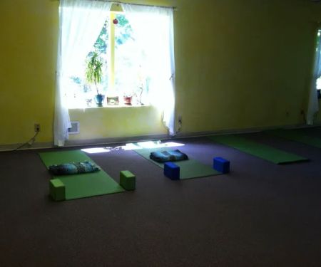 The Yoga Lily Online Studio & Training Center