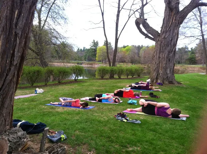The Yoga Lily Online Studio & Training Center Picture 4