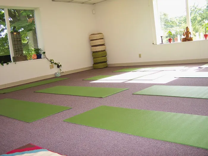 The Yoga Lily Online Studio & Training Center Picture 6