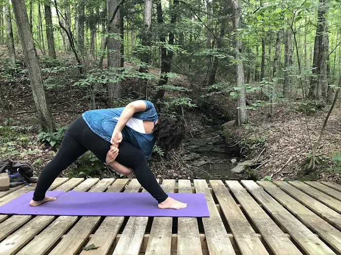 The Yoga Lily Online Studio & Training Center Picture 7