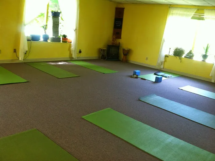 The Yoga Lily Online Studio & Training Center Picture 8