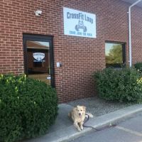 CrossFit Loup ico