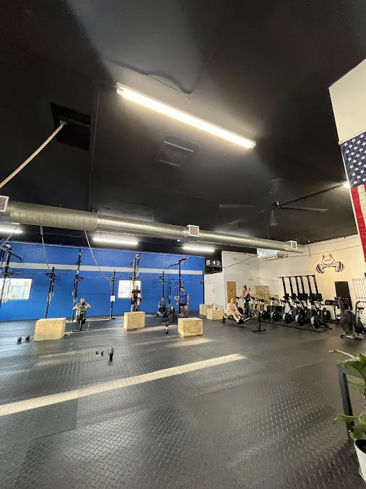 CrossFit Loup Picture 4