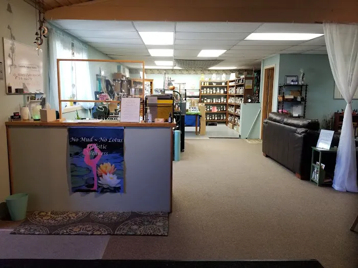 No Mud No Lotus Holistic Wellness and Yoga Studio Picture 4