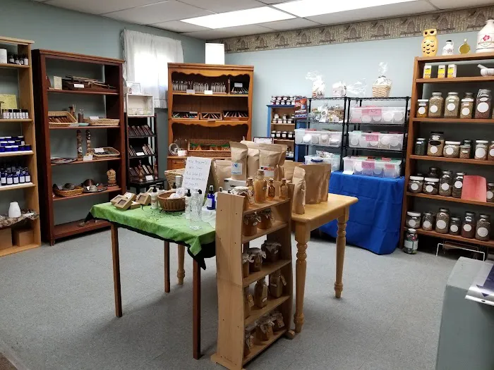 No Mud No Lotus Holistic Wellness and Yoga Studio Picture 10