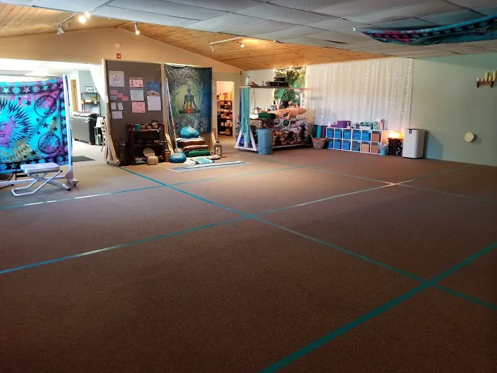 No Mud No Lotus Holistic Wellness and Yoga Studio Picture 6