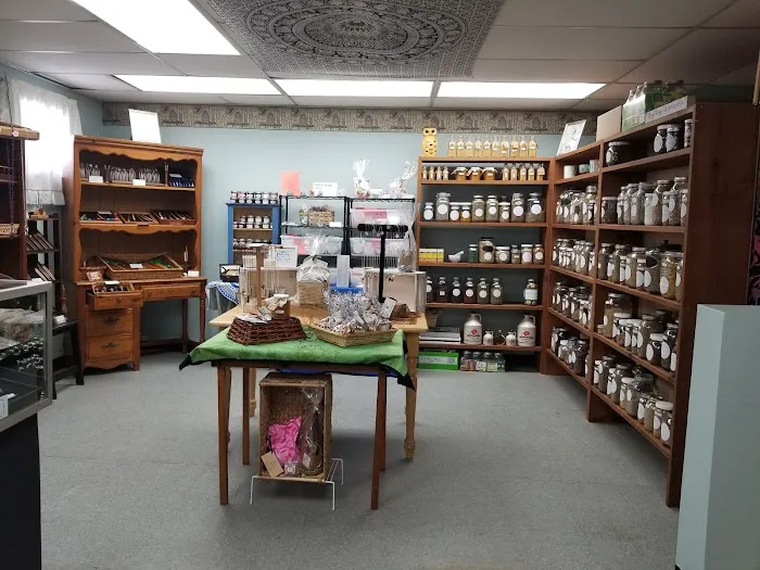 No Mud No Lotus Holistic Wellness and Yoga Studio Picture 8