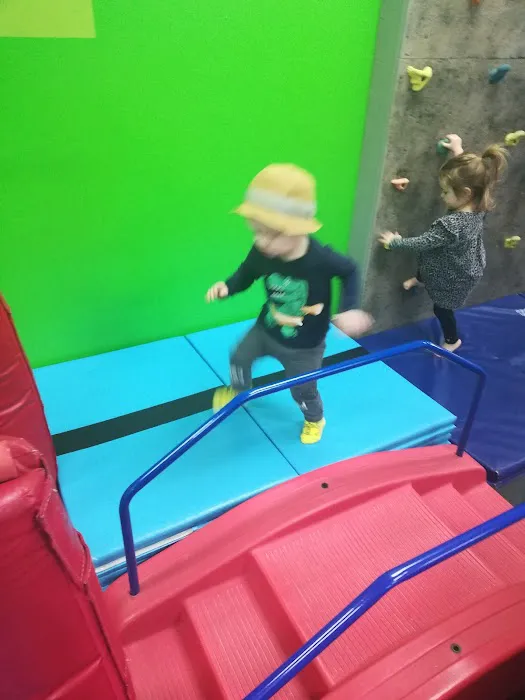 My Gym Children's Fitness Center Picture 4