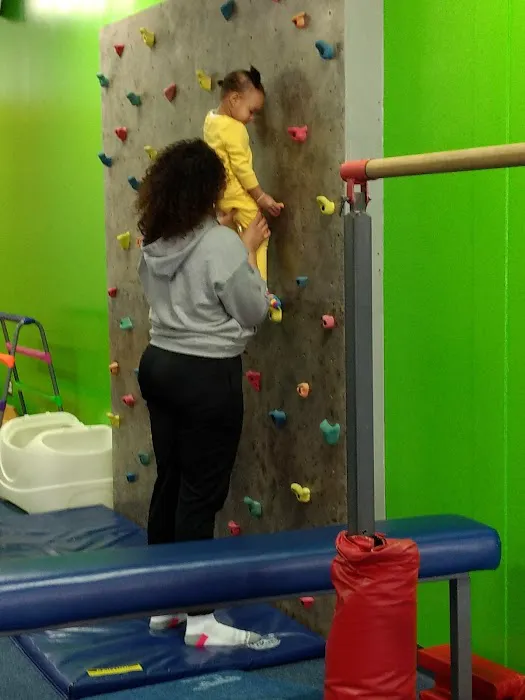 My Gym Children's Fitness Center Picture 2