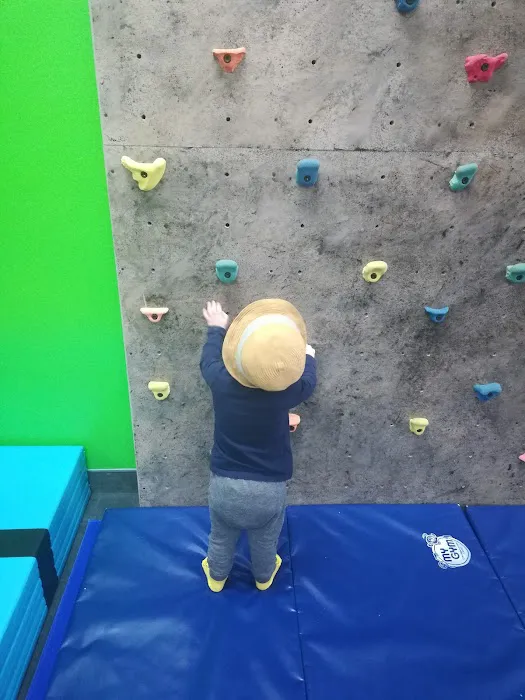 My Gym Children's Fitness Center Picture 3