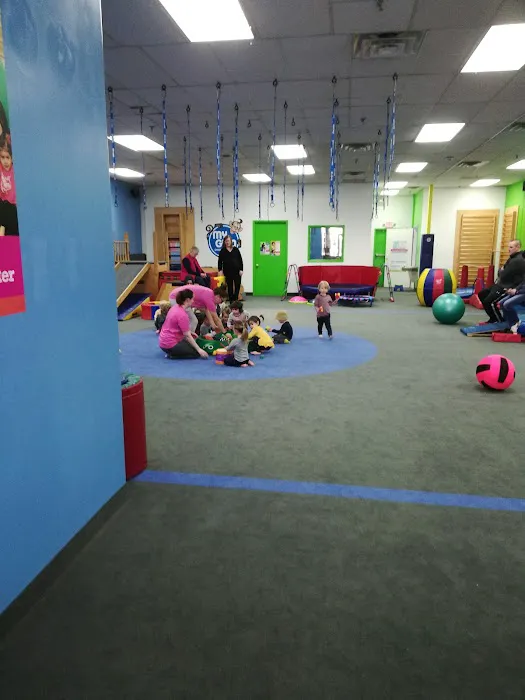 My Gym Children's Fitness Center Picture 1