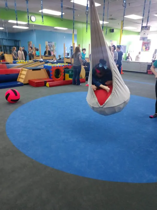My Gym Children's Fitness Center Picture 7