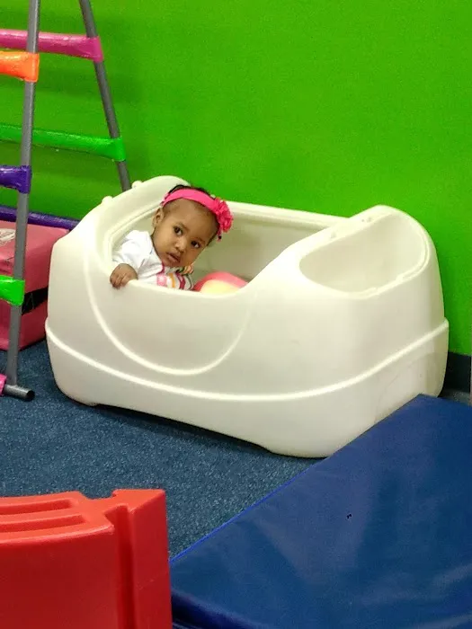My Gym Children's Fitness Center Picture 6
