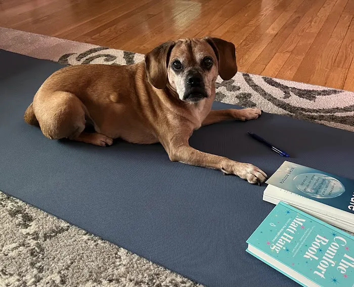 Release Yoga Studio Picture 5