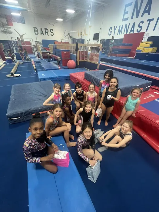 ENA Gymnastics Picture 8