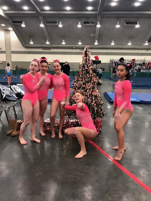 ENA Gymnastics Picture 4