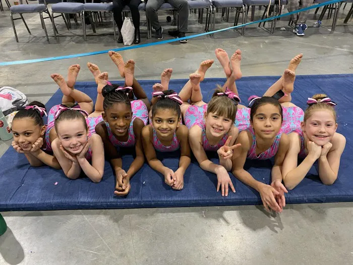 ENA Gymnastics Picture 6