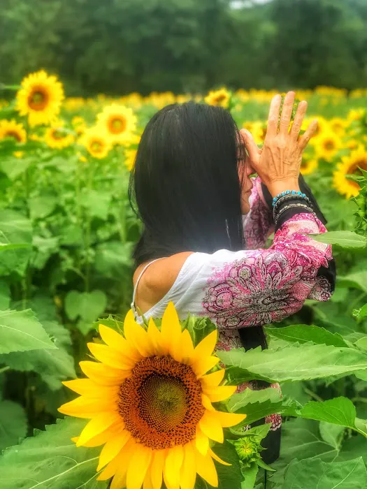 Soul Practice Yoga Picture 4