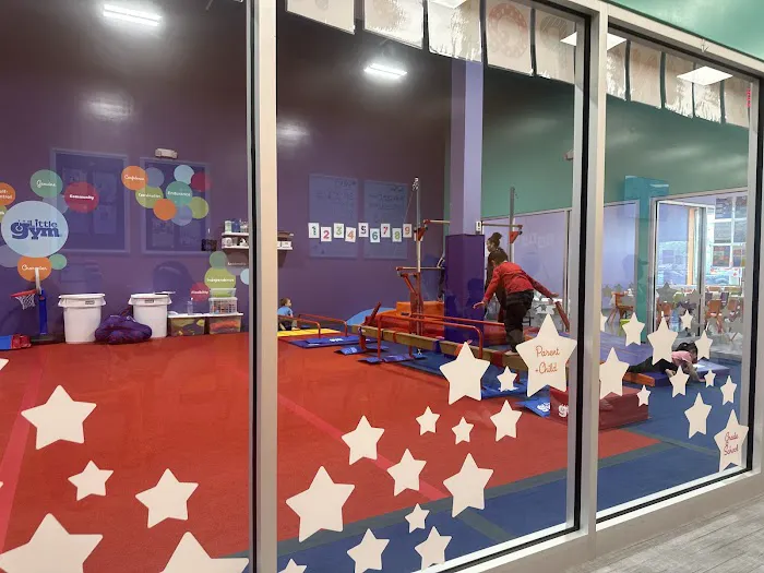 The Little Gym of Lodi Picture 3