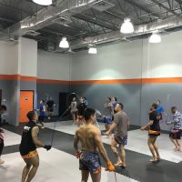 Legion Muay Thai ico
