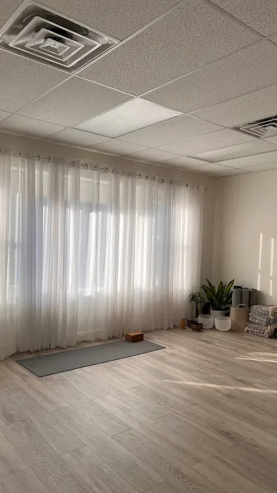 Prana Yoga Pilates Studio Picture 3