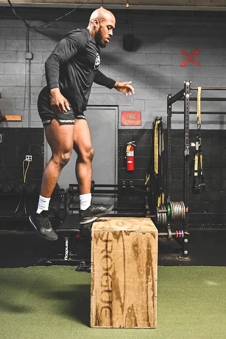 ANiMAL Strength & Conditioning Picture 3