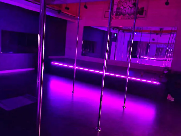 Doll House Pole Fitness Picture 6