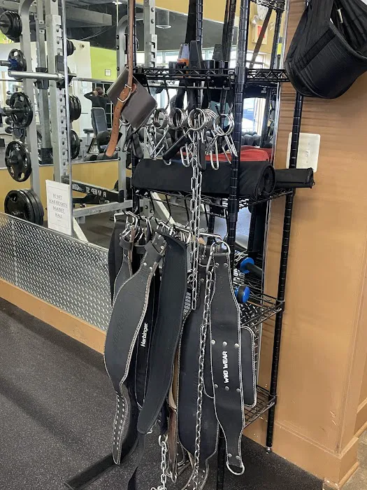 Anytime Fitness Picture 5