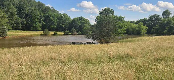 Culpeper Recreational Club Inc Picture 5