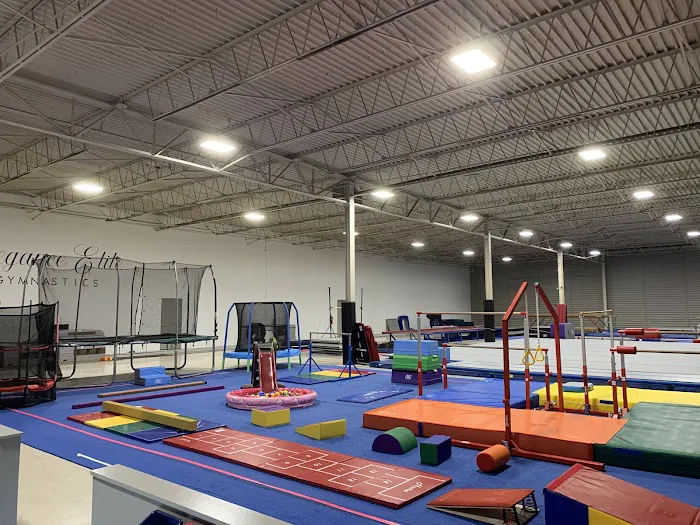 Elegance Elite Gymnastics Picture 2