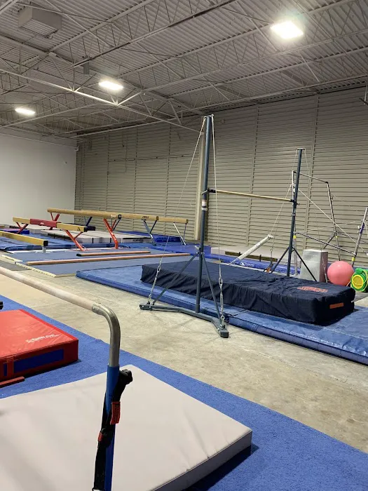 Elegance Elite Gymnastics Picture 3