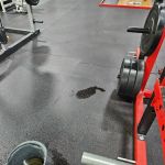 Alphalete Performance and Fitness