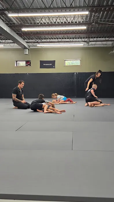 Highground jiu-jitsu ( Midway) Picture 4