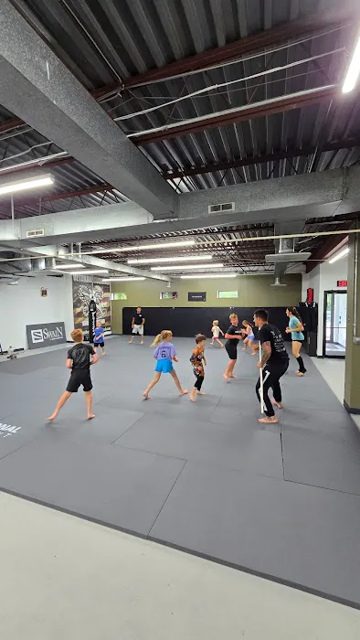 Highground jiu-jitsu ( Midway) Picture 6