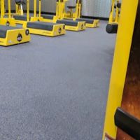 Planet Fitness ico