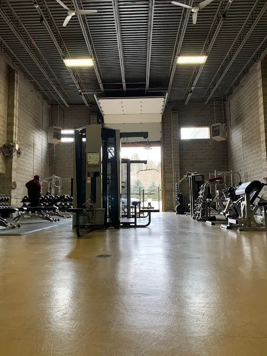 Fitness Werqs Picture 6