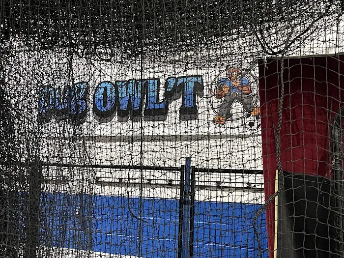 Ball OWL'T Sports Training Facility Picture 7