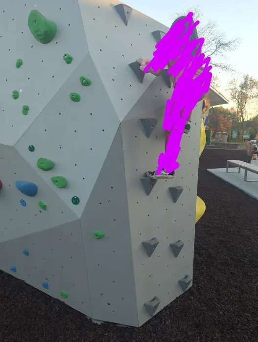 Boyce Bouldering Park Picture 6