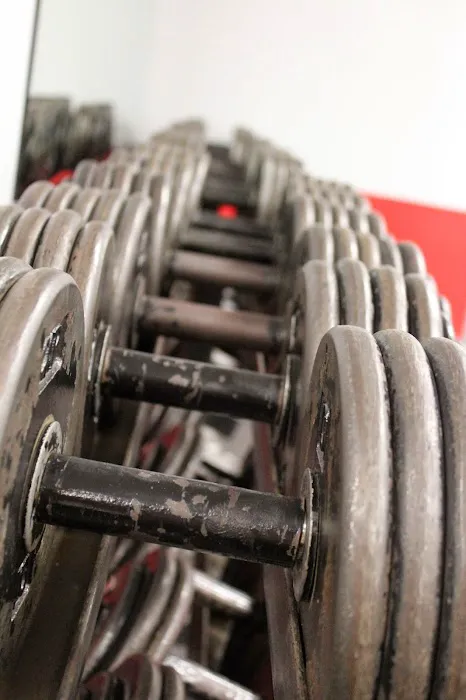 The Gym Pittsburgh Picture 6