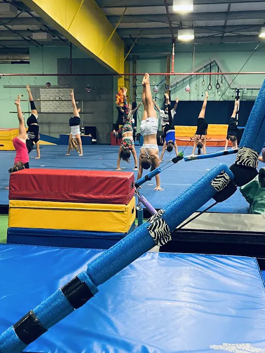 True Gymnastics Picture 1