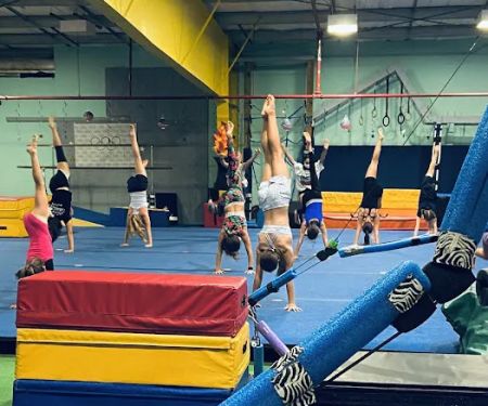 True Gymnastics