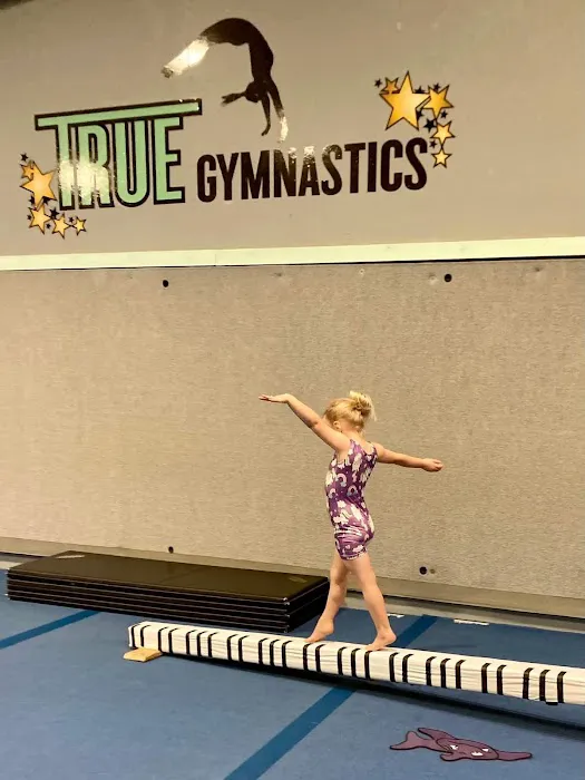 True Gymnastics Picture 5