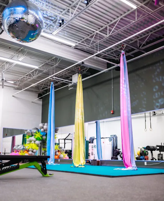 Elevation Fitness Plus Picture 4