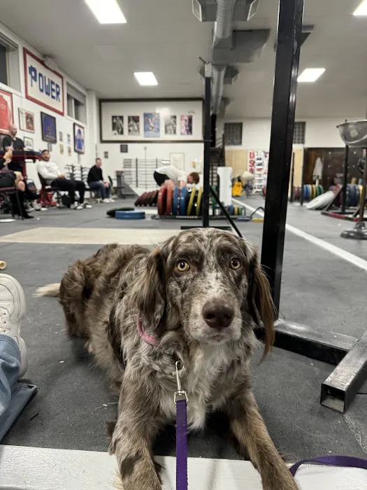 Pittsburgh Barbell Club Picture 7