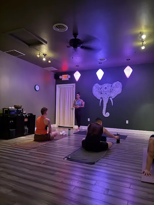 Yoga Innovations Collective Picture 2