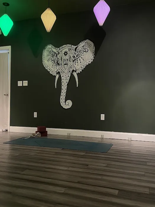 Yoga Innovations Collective Picture 7