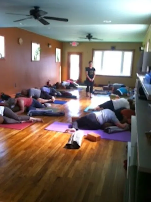 The Yoga Whole Picture 1