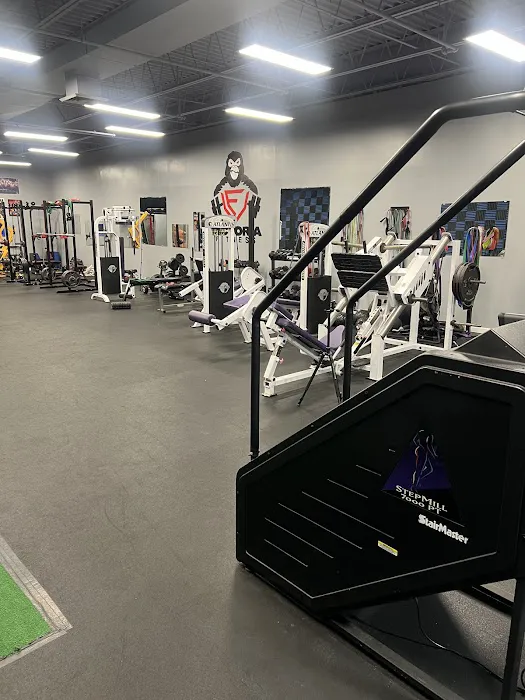 Victoria Fitness Picture 3